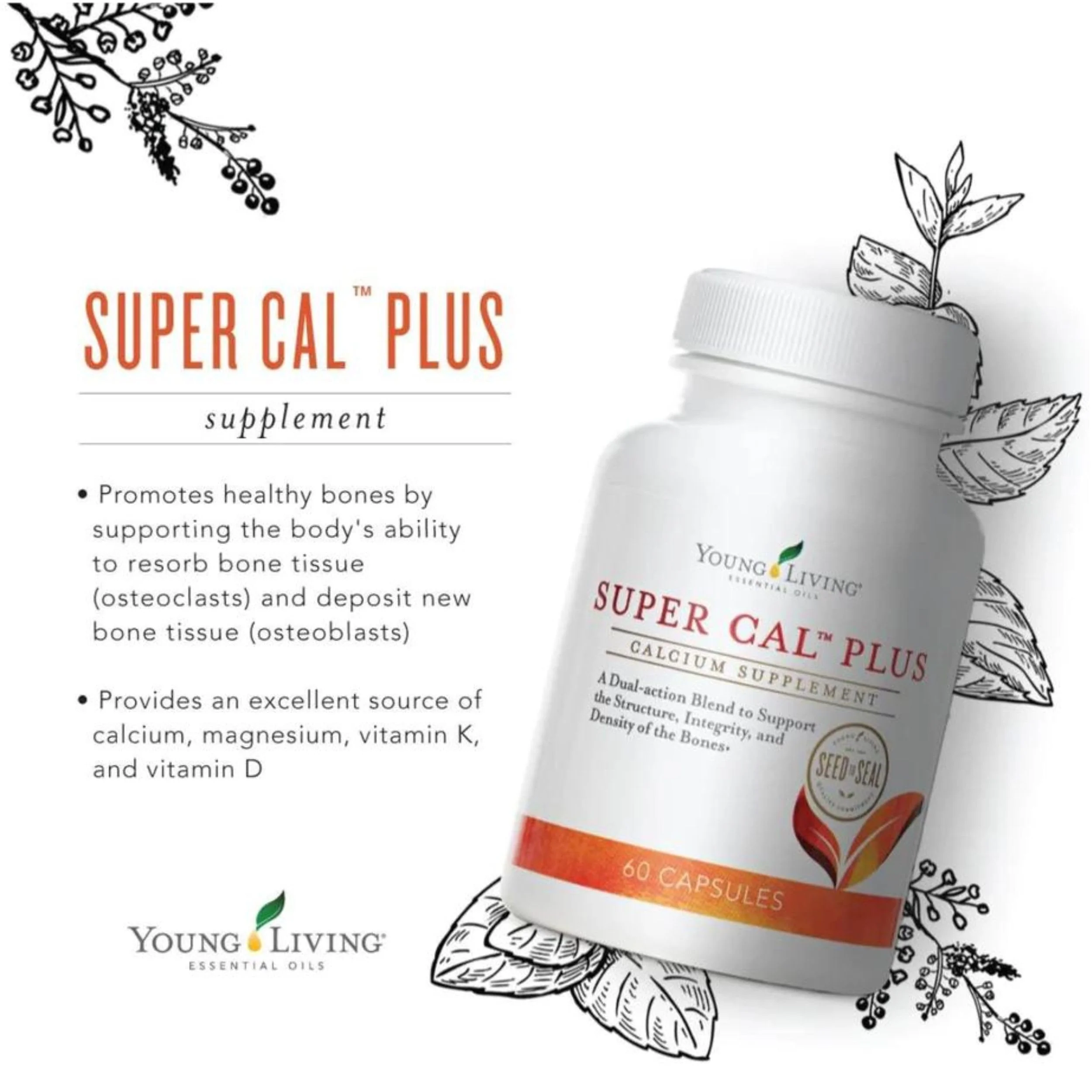 Young Living Super Cal Plus 60 Capsules | Calcium, Magnesium & Vitamins D & K for Bone Health - Image 11