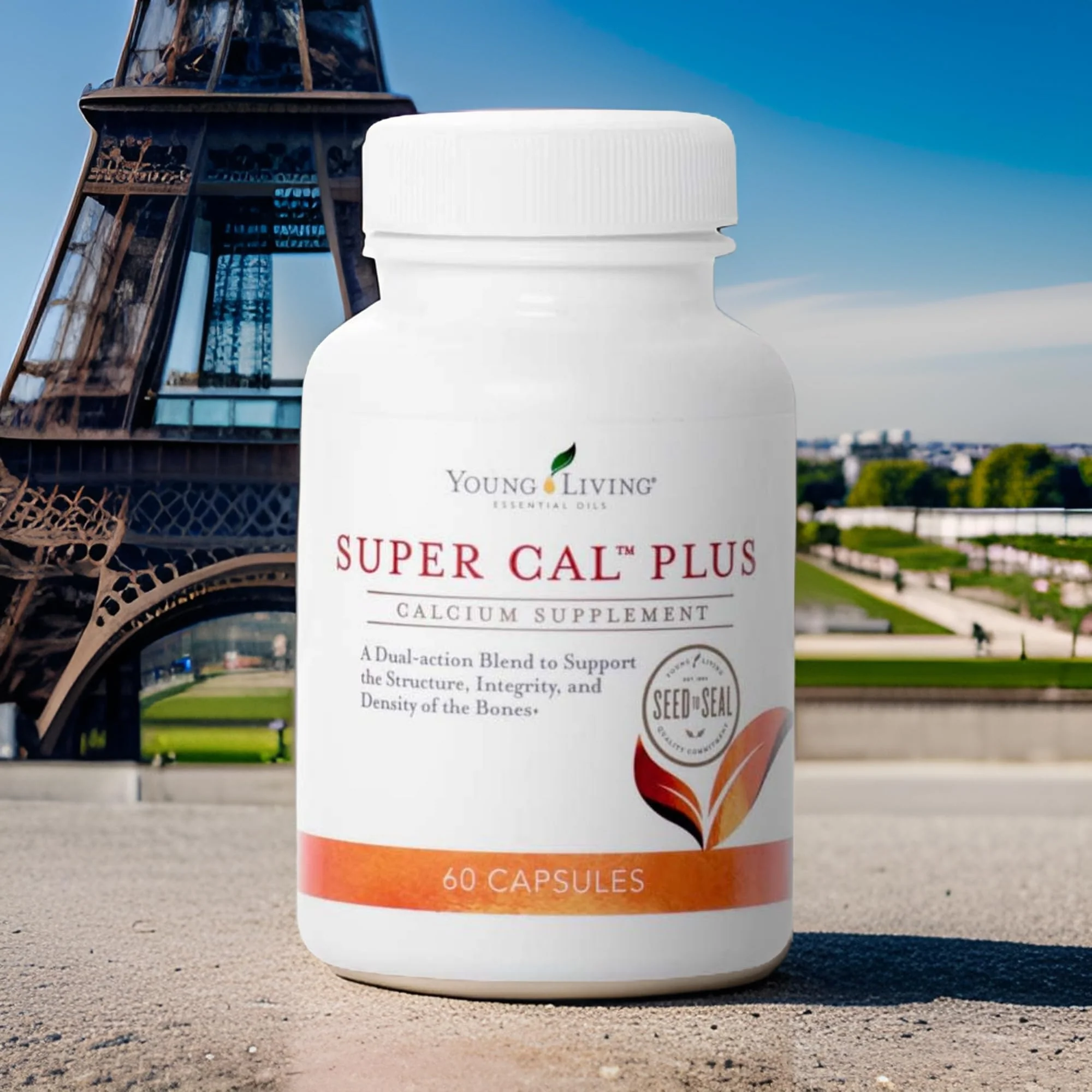 Young Living Super Cal Plus 60 Capsules | Calcium, Magnesium & Vitamins D & K for Bone Health - Image 13