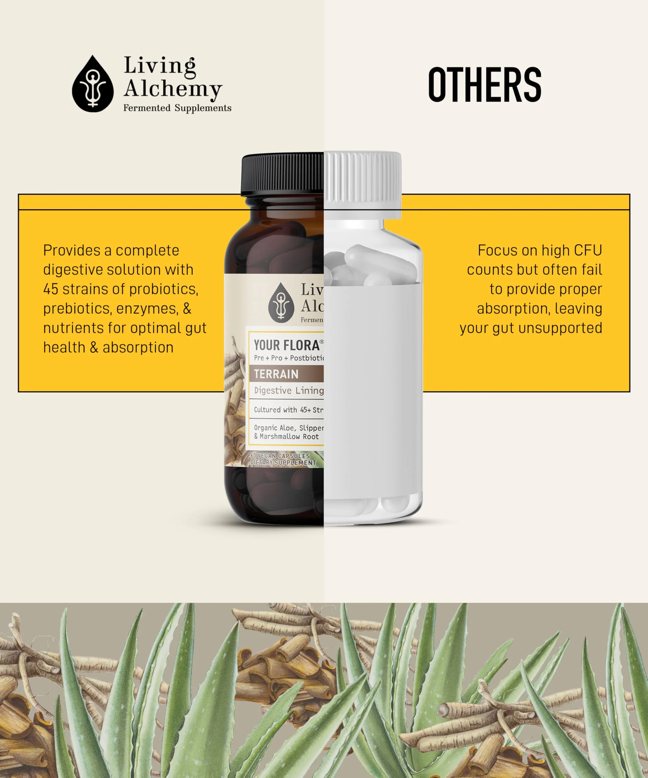 Your Flora Probiotic Terrain – Non-GMO Probiotics with Fermented Soybean, Aloe Vera, & Slippery Elm for Gut Balance & Digestion | Living Alchemy, 60 Pcs - Image 16