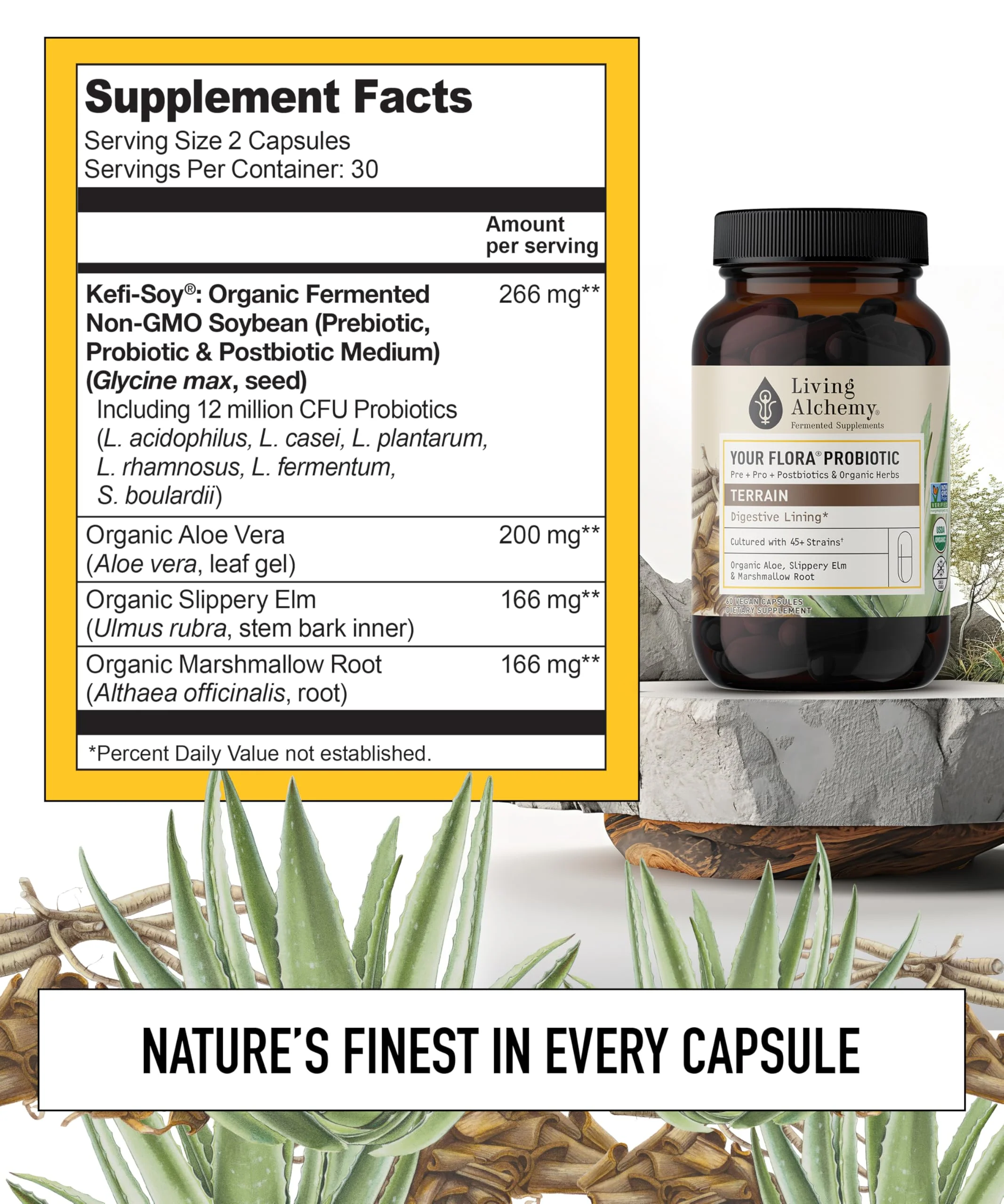 Your Flora Probiotic Terrain – Non-GMO Probiotics with Fermented Soybean, Aloe Vera, & Slippery Elm for Gut Balance & Digestion | Living Alchemy, 60 Pcs - Image 2