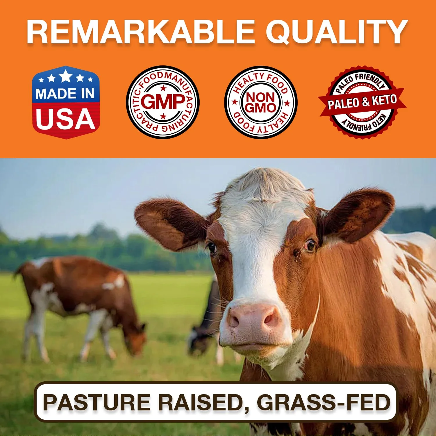 Zammex Pure Grass-Fed Beef Bone Broth Protein Powder – 20g Protein, Collagen, Non-GMO, Gluten Free - Image 8