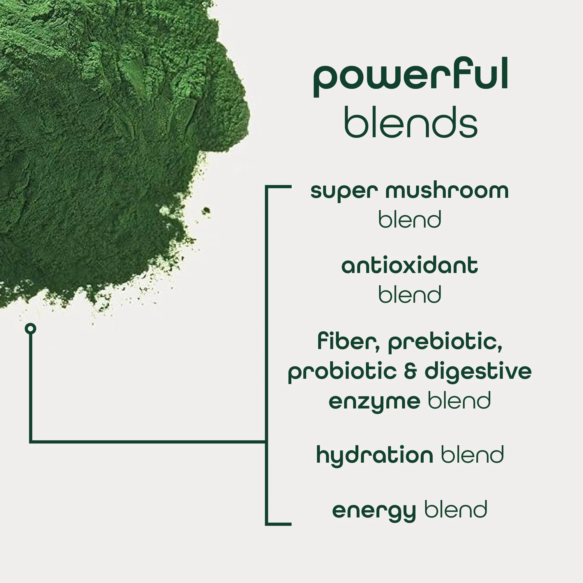 Zena Nutrition Organic Super Greens Energy & Hydration Powder — 70+ Superfoods, 0 Sugar, 5g Fiber, 40 Packets - Image 14
