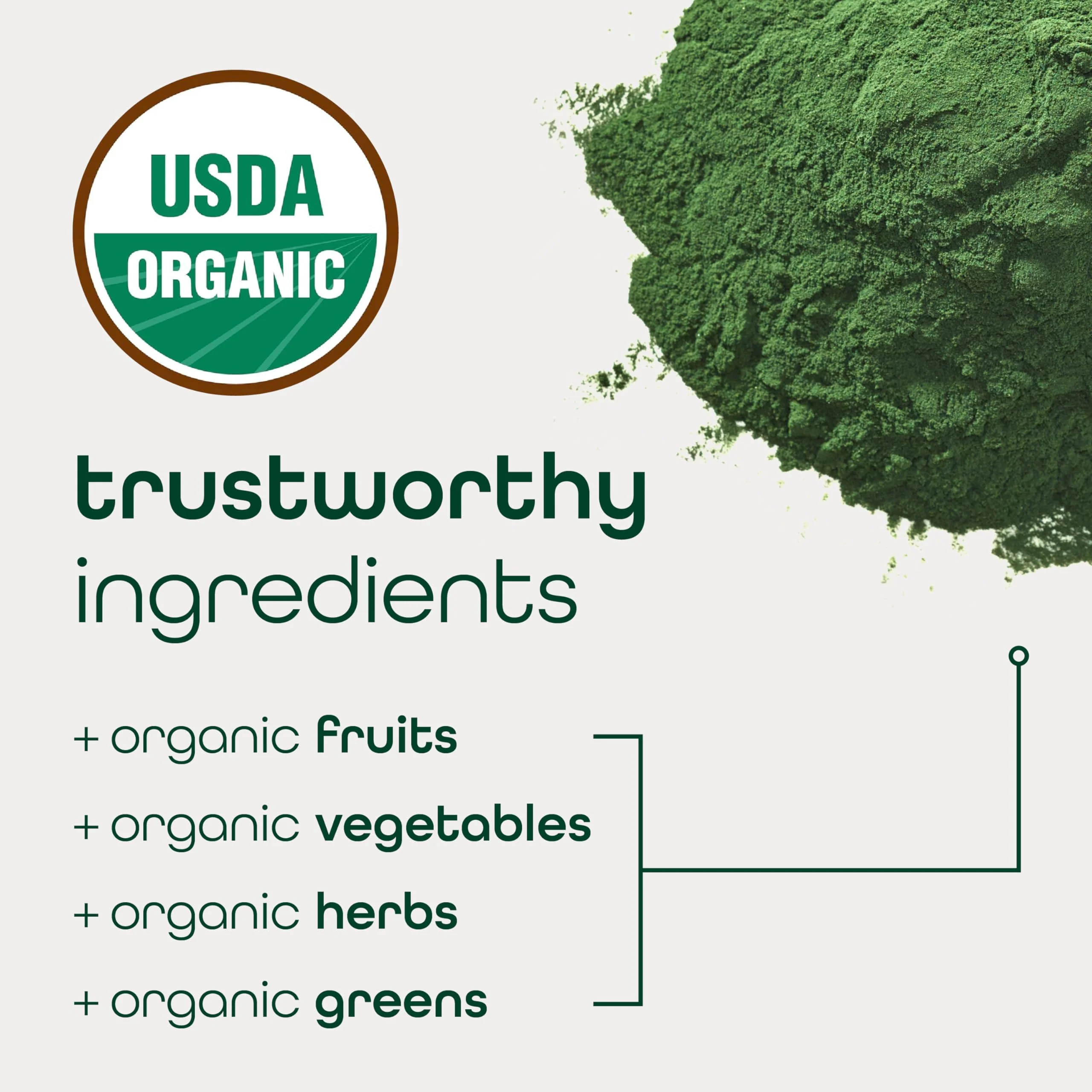 Zena Nutrition Organic Super Greens Powder — 70+ Superfoods, 0 Sugar, 30 Packets - Image 5