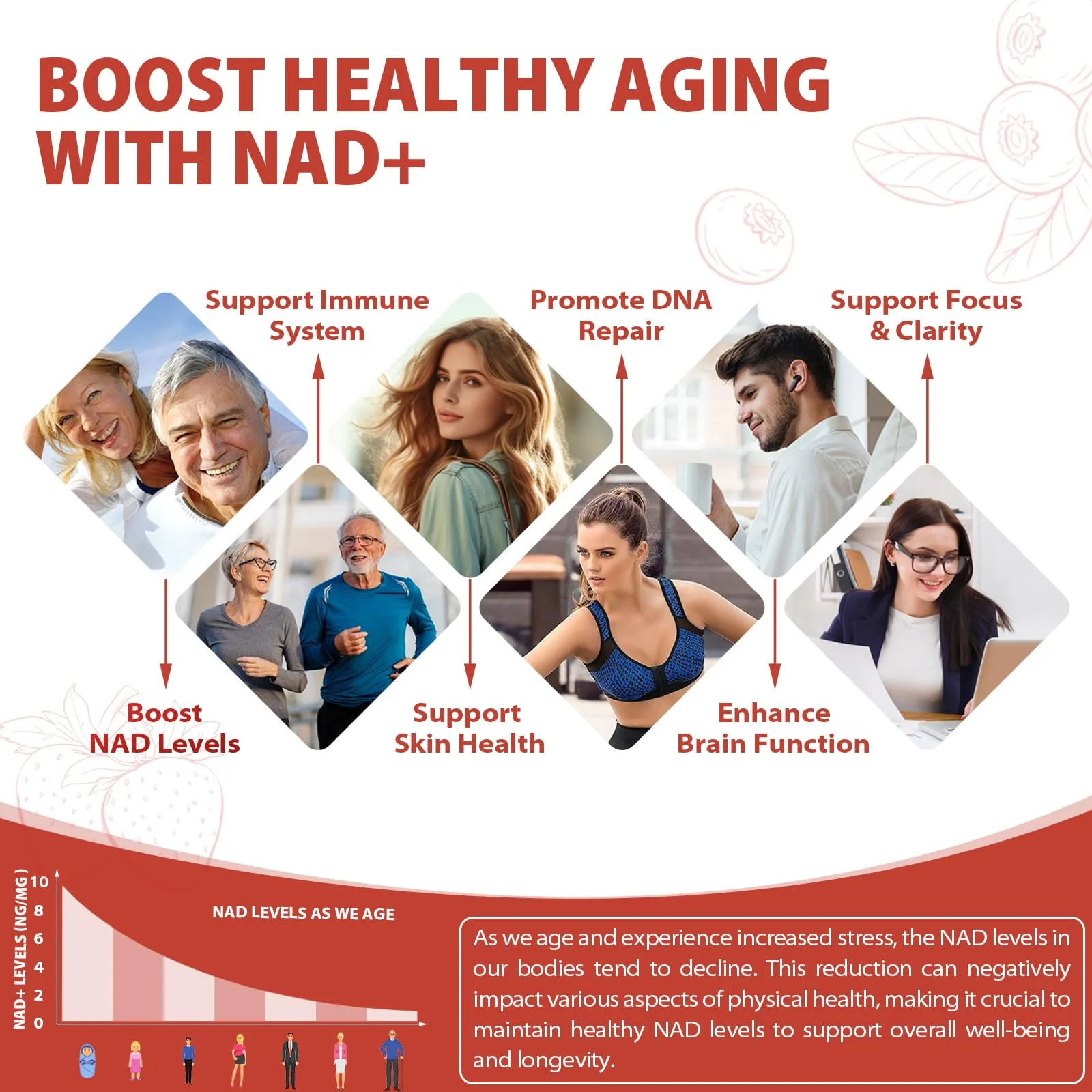 ZOROAHER NAD+ 1000mg Liquid Supplement – NR, Resveratrol & PQQ for Energy & Focus - Image 14